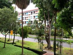Blk 816 Jurong West Street 81 (Jurong West), HDB 4 Rooms #452074311